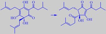 gir isomerisering til cis- og trans isohumulone som gir bitterhet (også bakteriocidal effekt mot G+ bakterier) aromatiske
