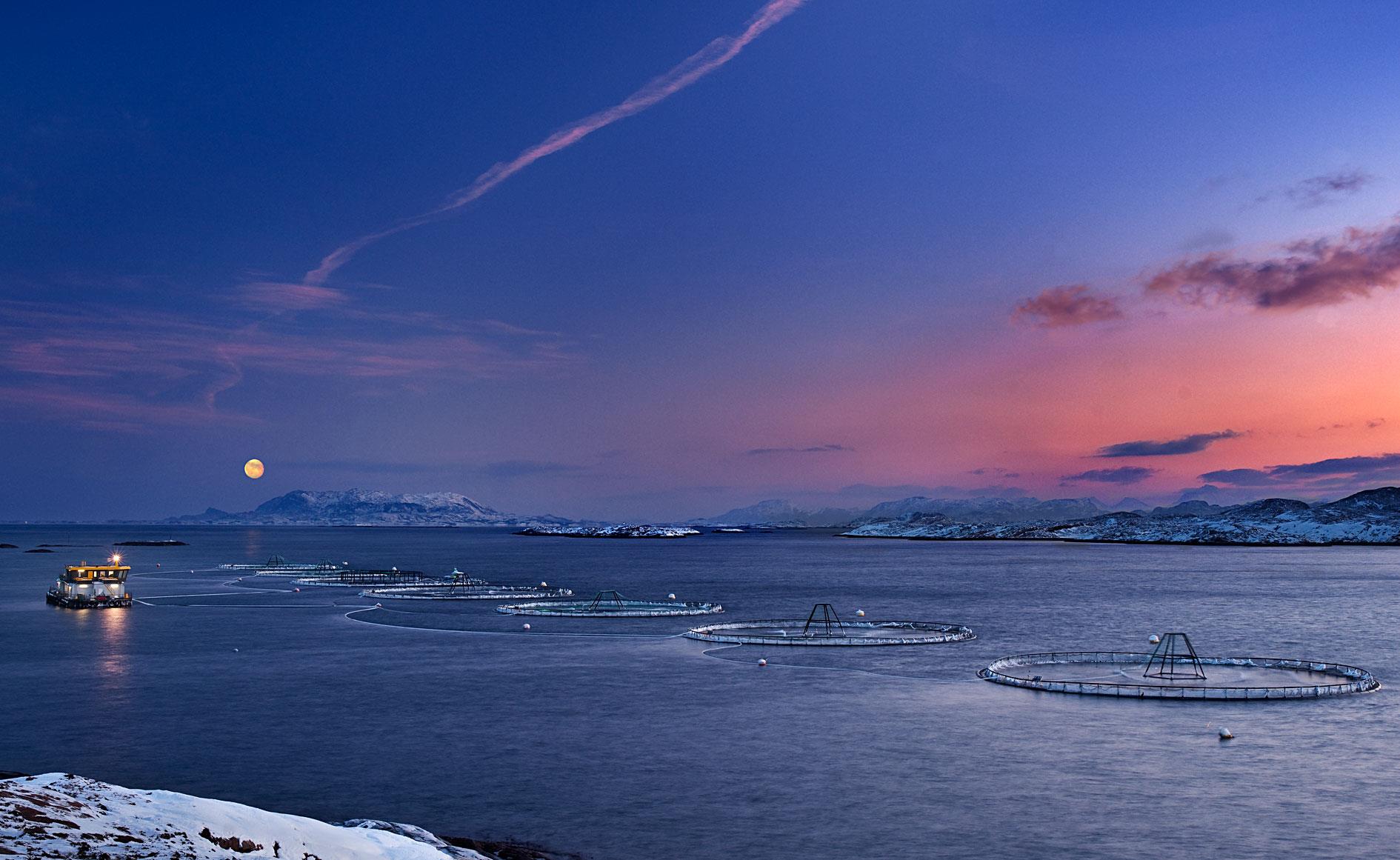 Levende Fjord og Levende Kyst