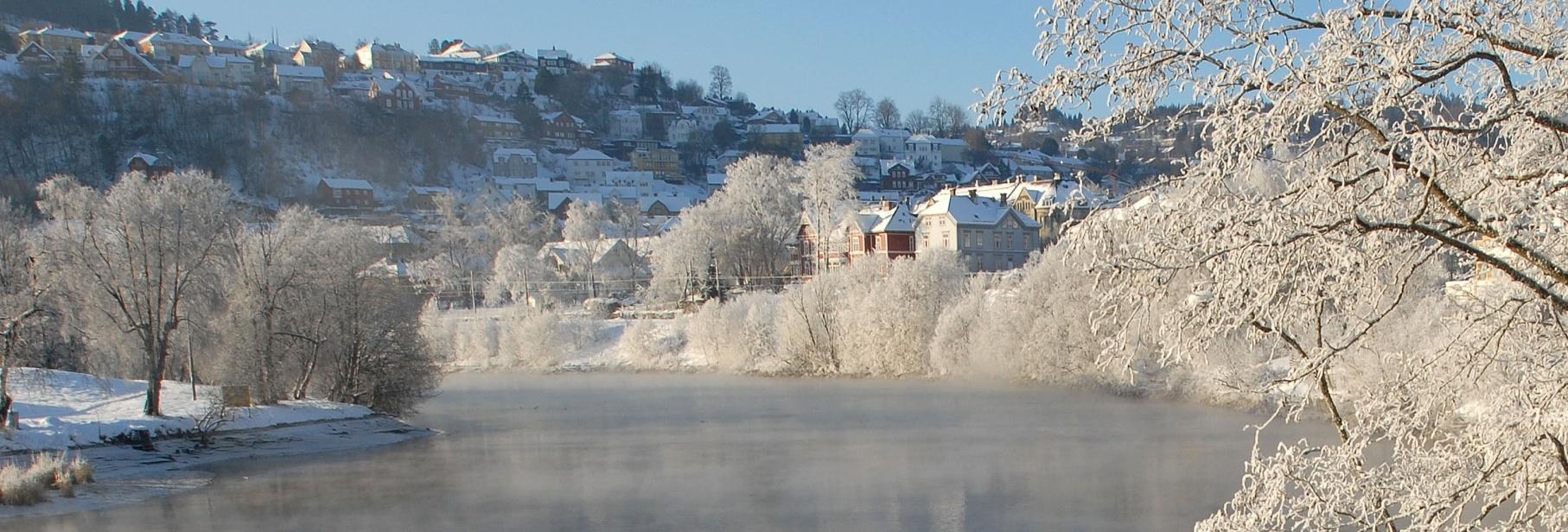 HVERDAGSMESTRING I HJEMMET FELLES