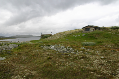 Fylkesdelplanens hovedformål (kap. 1): komme fram til en langsiktig og helhetlig strategi for bruk av arealer som er viktige leveområder for villreinen eller påvirker villreinens leveområder.