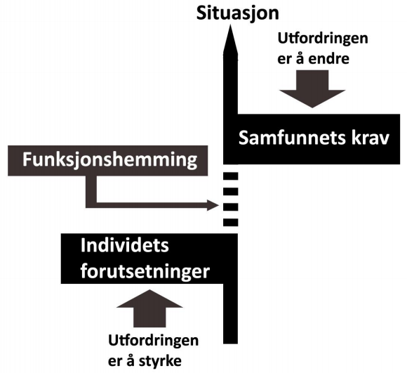 Dagens situasjon I dagens samfunn er det flere personer med nedsatte språkevner. Det kan være alt fra nedsatt eller ingen hørsel, ingen eller dårlig taleevne og dårlig hukommelse.