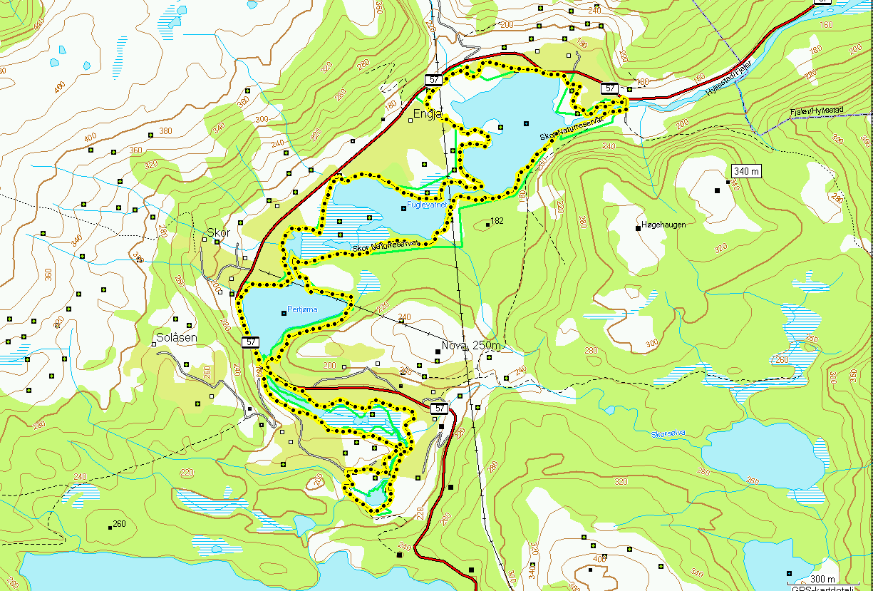 4.2 Skor naturreservat 4.2.1 Telleforhold Skor naturreservat ble undersøkt den 1.6, 6.6 og 25.6. Takseringsruta som ble benyttet fremgår av figur 4.6. Værforholdene var stort sett bra under alle takseringene, som det fremgår av tabell 4.