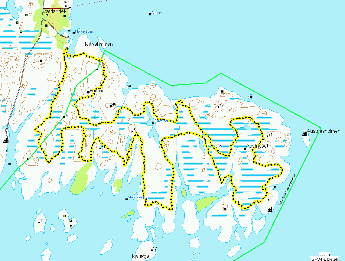 4.3 Sørværet naturreservat 4.3.1 Telleforhold Sørværet naturreservat ble undersøkt den 2.6, 7.6 og 22.6. Takseringsruta som ble benyttet fremgår av figur 4.11.