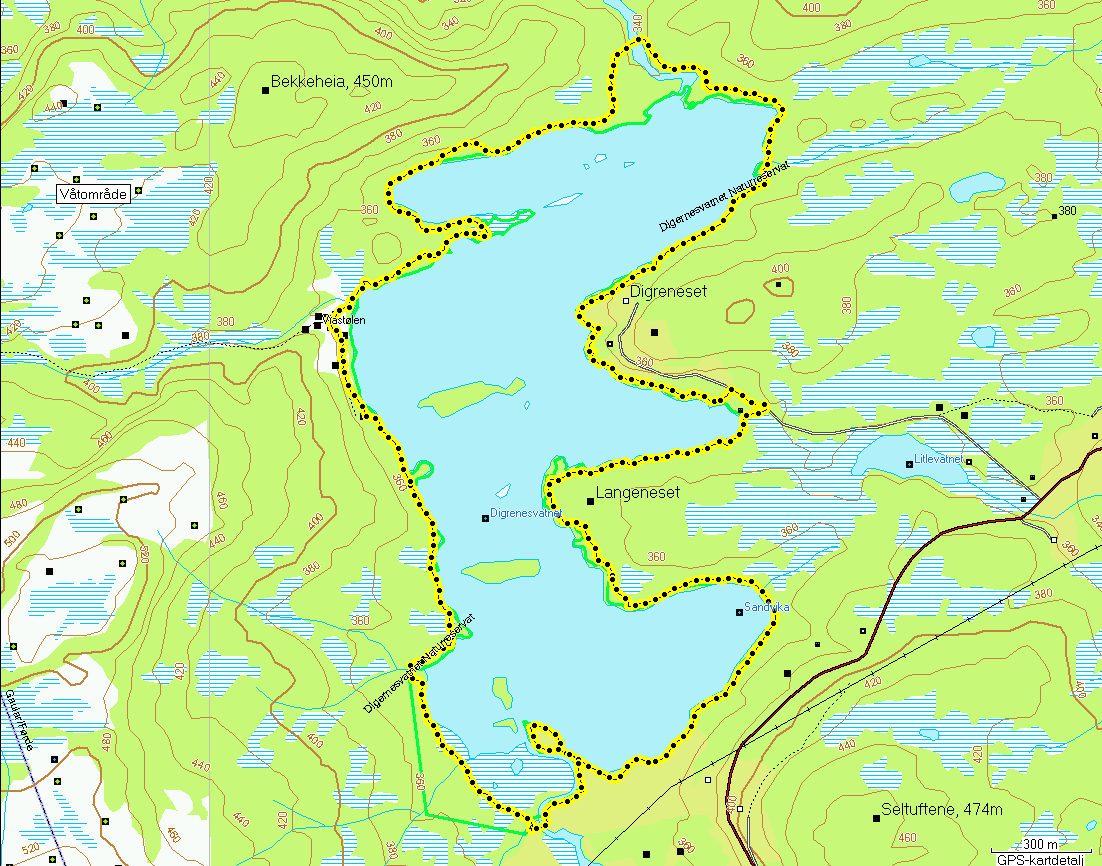 4.4 Digernesvatnet naturreservat 4.4.1 Telleforhold Digernesvatnet naturreservat ble undersøkt den 4.6, 9.6 og 24.6. Takseringsruta som ble benyttet fremgår av figur 4.15.