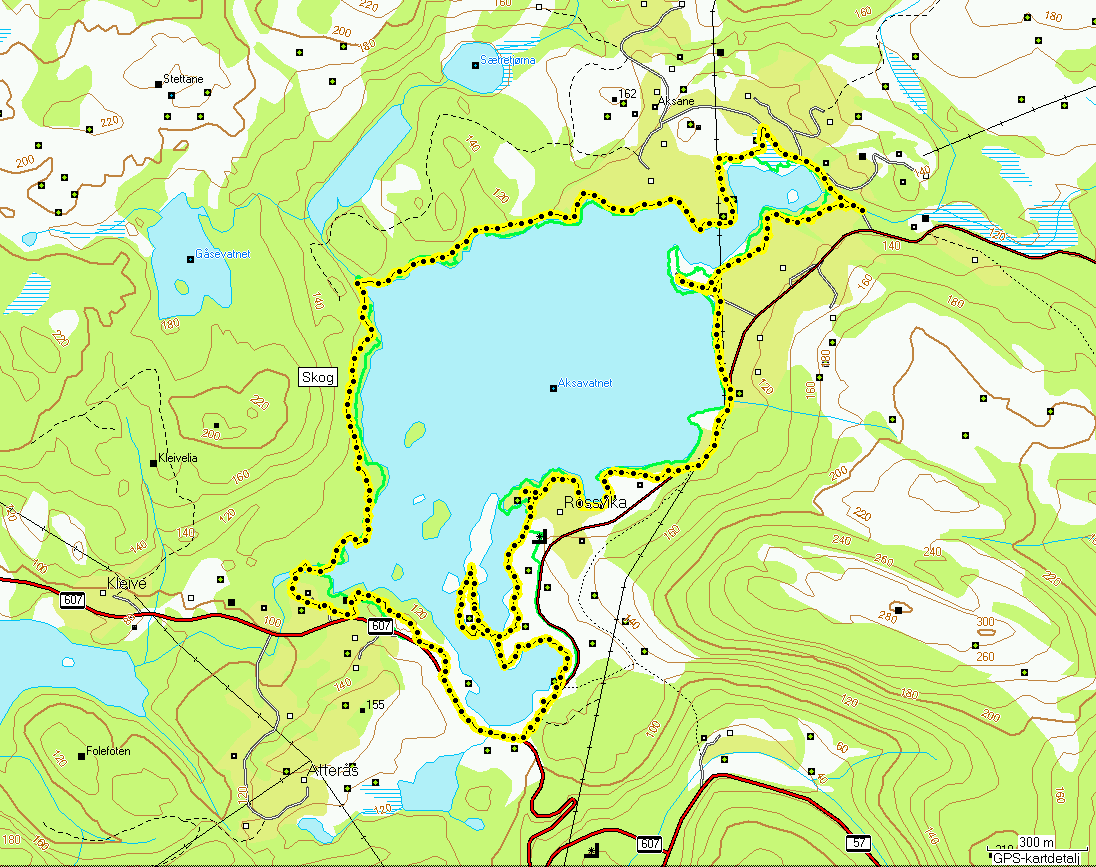 4.5 Aksevatnet dyrelivsfredning 4.5.1 Telleforhold Digernesvatnet naturreservat ble undersøkt den 31.5, 5.6 og 21.6. Takseringsruta som ble benyttet fremgår av figur 4.20.