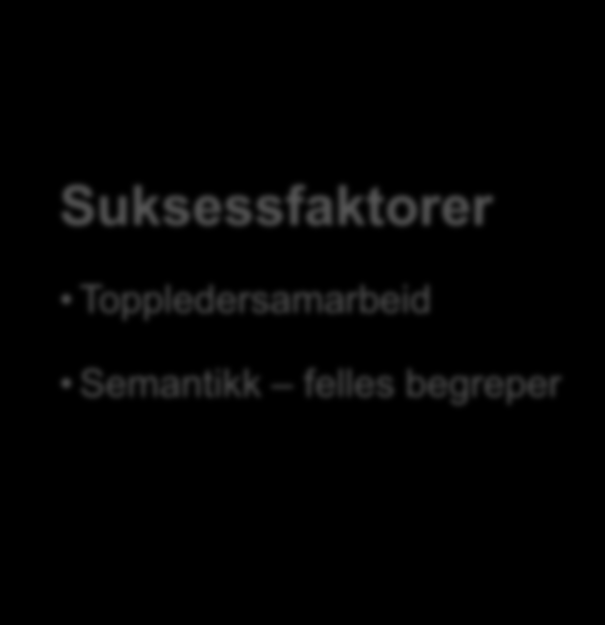 Suksessfaktorer