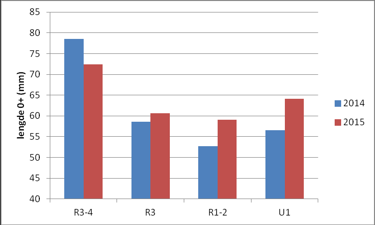 UTVIKLINGSTRENDER FOR STØRRELSE- OG ALDERSFORDELING I vedlegg 3 er det gitt en oversikt over antall og lengde på årsunger og eldre ørret fanget på de ulike stasjonene.