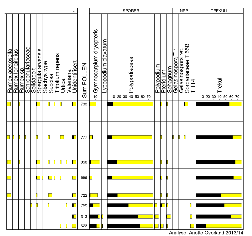 Figur 8: (fortsetter). Pollendiagram fra lokalitet 1. Sort kurve viser prosent, mens lys kurve viser denne verdien 10.