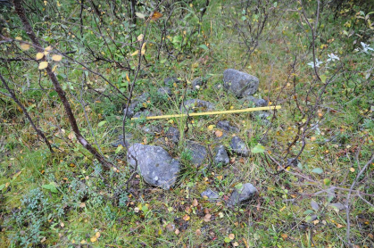 Området rundt Demningsvannet (Luohppal): ID nummer Typebetegnelse Beskrivelse Felt id nr Ildsted Sirkulært ildsted av hodestore 12 stein, ca 1 meter i diameter.