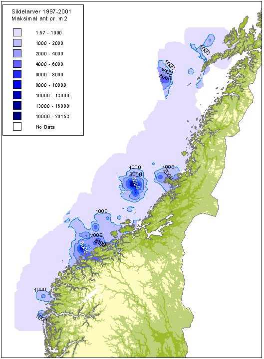 65 Figur 5.3. Fordelingen av sildelarver over Midt-norsk sokkel i mai. Sildefordelingen ble også delvis dekket under postlarveundersøkelsene som foregikk i juli måned i perioden 1976-1992.