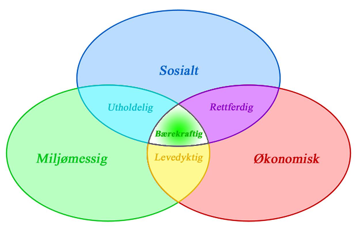 Bærekraft må sees i et helhetlig perspektiv Definisjon: Bærekraftig utvikling er «en utvikling som imøtekommer behovene til dagens