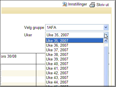 alt detaljfravær vises. Dette er spesielt praktisk dersom du velger individuell visning.