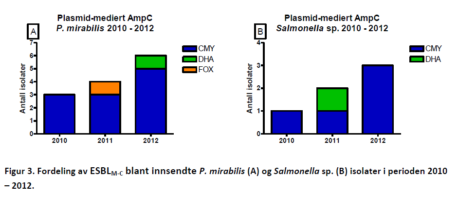 EPIDEMIOLOGI ESBL M-C E. coli K.