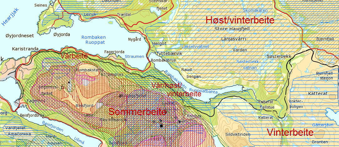 OVERORDNEDE PROBLEMSTILLINGER Figur 5-11 Beiteområder for reinsdyr. Kartgrunnlag; kart.reindrift.no.