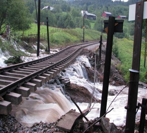 nye steder Naboers vegetasjonsrydding (bygging av skogsbilveier/hogstfelt, boligfelt og annen arealtetthet) gir utfordringer da det endrer