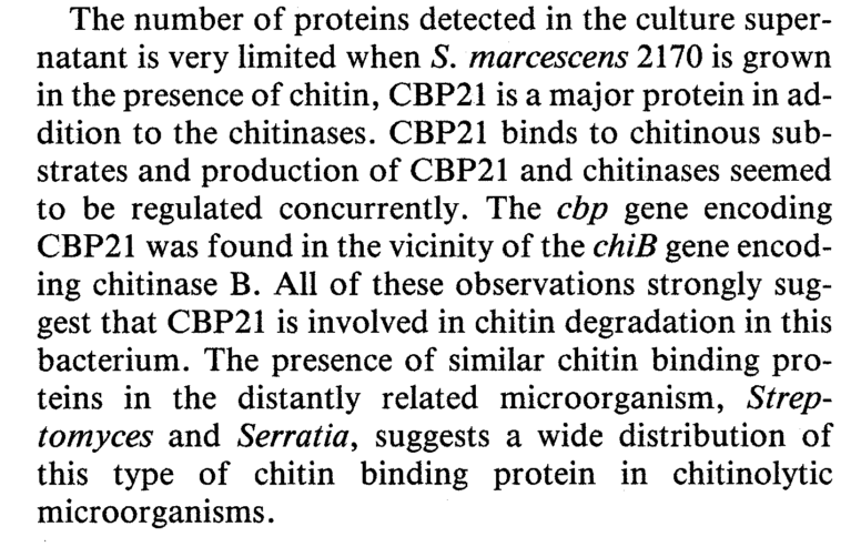 (CBP21) in the culture supernatant of Serratia marcescens 2170.