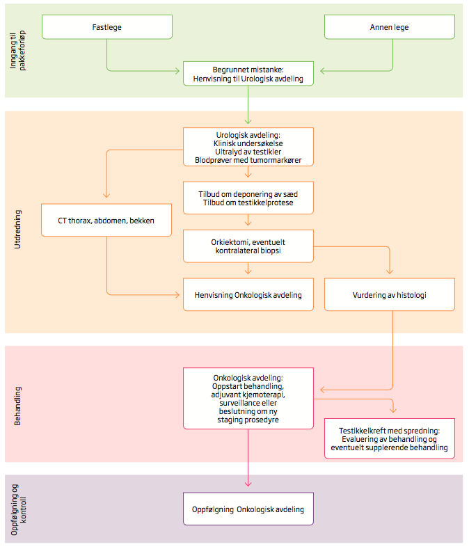 2 Inngang til pakkeforløp for testikkelkreft 2.1 Risikogrupper Årsaken til testikkelkreft er til dels ukjent.