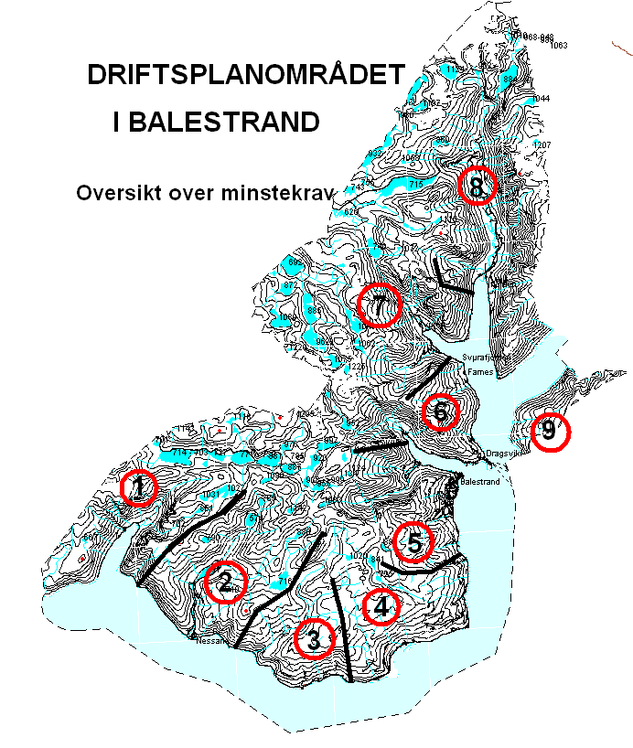 Balestrand sine mål Å syte for at dei nasjonale hovudmåla vert følgde. Å utvikle salbare produkt i form av jaktutleige, kjøttsal, jaktguiding osv., i tråd med etterspurnaden.