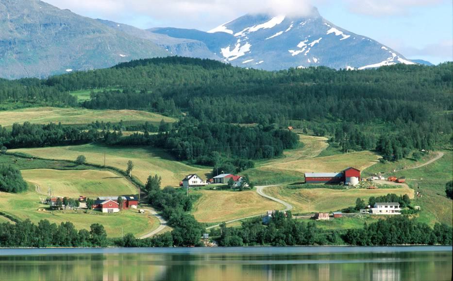 Skog og landskap Kunnskap