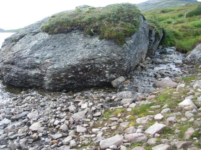 Figur 13. Lengdefordeling for ørret fanget ved elektrofiske i innløpsbekkene til Ilsvatnet 24. august 2012. Stasjonene er avmerket i figur 9. A) El-fiskestasjon 1 B) El-fiskestasjon 2 Figur 14.