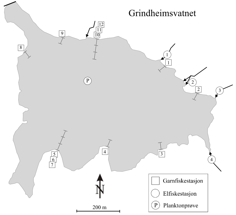 4 GRINDHEIMSVATNET INNSJØEN Grindheimsvatnet (innsjø nr 1475) ligger 545,1 moh. ved LRV og 559,1 moh. ved HRV, som gir en reguleringshøyde på 14,0 meter. Vannstand før regulering var 555,1 moh.