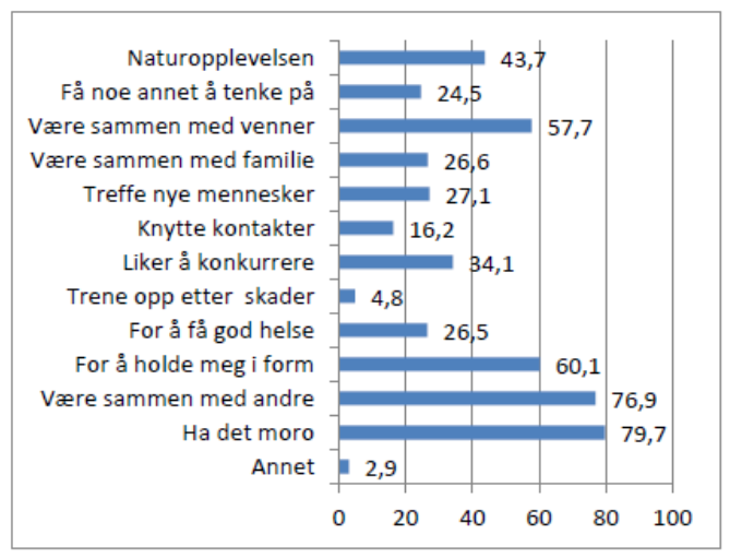 3 sentrale faktorer: Miljø, glede og mestring Å ha det moro med venner og/eller familie