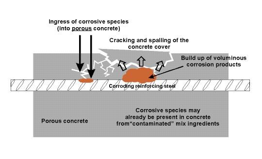 www.corrosion-club.