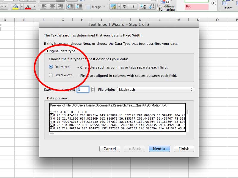 Excel (Mac) I denne tekstfilen er kolonnene skilt med et