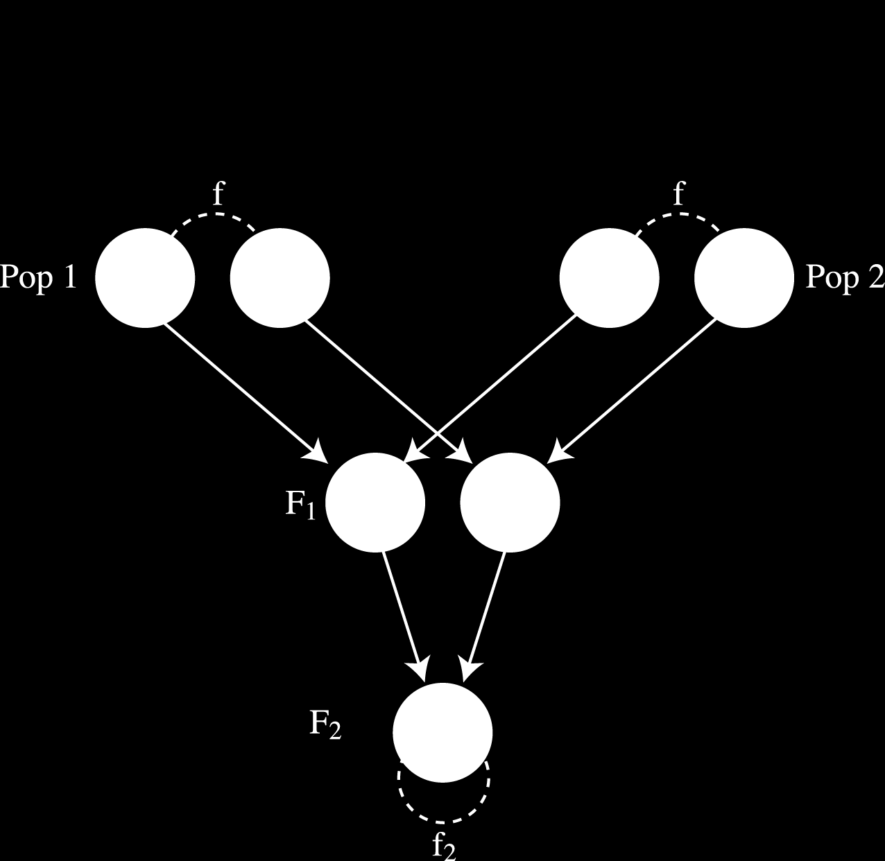 2. Sannsynligheten for at to tilfeldig valgte gener fra hver subpopulasjon er IBD, er null (ingen felles opphav). Derfor må P aa,f1 = P r(trekke a fra pop 1)P r(trekke a fra pop 2) = p 2 0 = 0.0001 3.