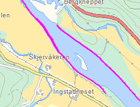 4.1.11 Sideløp ved Ingstadneset Et om lag 460 meter langt sideløp ligger delvis tørrlagt ved normal til lav vannføring (figur 27).