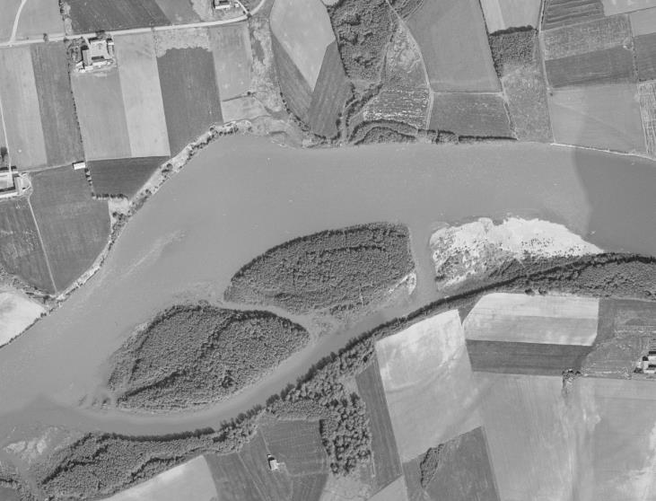 Lengre inn på land på samme side av elva ligger et gjengrodd sideløp, som tydelig fremgår av flyfoto tatt i 1955 (figur 37 d). Dette sideløpet er om lag 1.