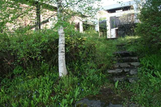 Berberis og skjærsmin ved hovedinngang. Nyplantet rododendron i plen. Terrasse og hage på sjøsiden Nordøst for terrassen ved trappas østside er det berg i dagen.