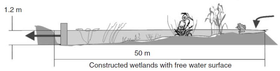 Konstruerte våtmarker i kaldt klima CW med vannstand som ligger innenfor filtersubstratet