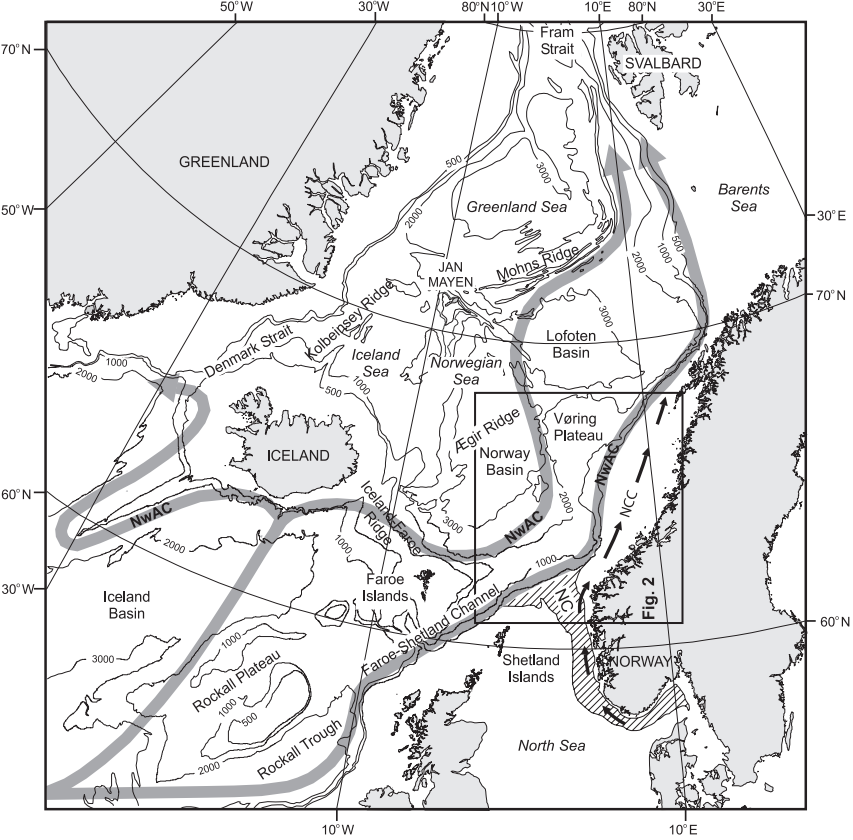R. Johansen Kapittel 2 Studieområde Figur 2-1: Oversikt over strømningsmønsteret i Nord-Atlanteren. NCC= Den norske kyststrømmen, NwAC= Norskestrømmen.