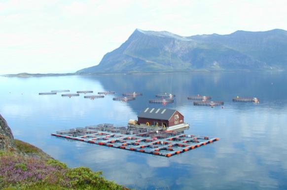 Muligheter for norsk sjømatnæring Nærhet til friske marine