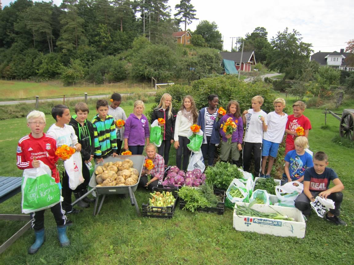 TIMES GÅRD + HÅNES SKOLE Hånes skole v/inger