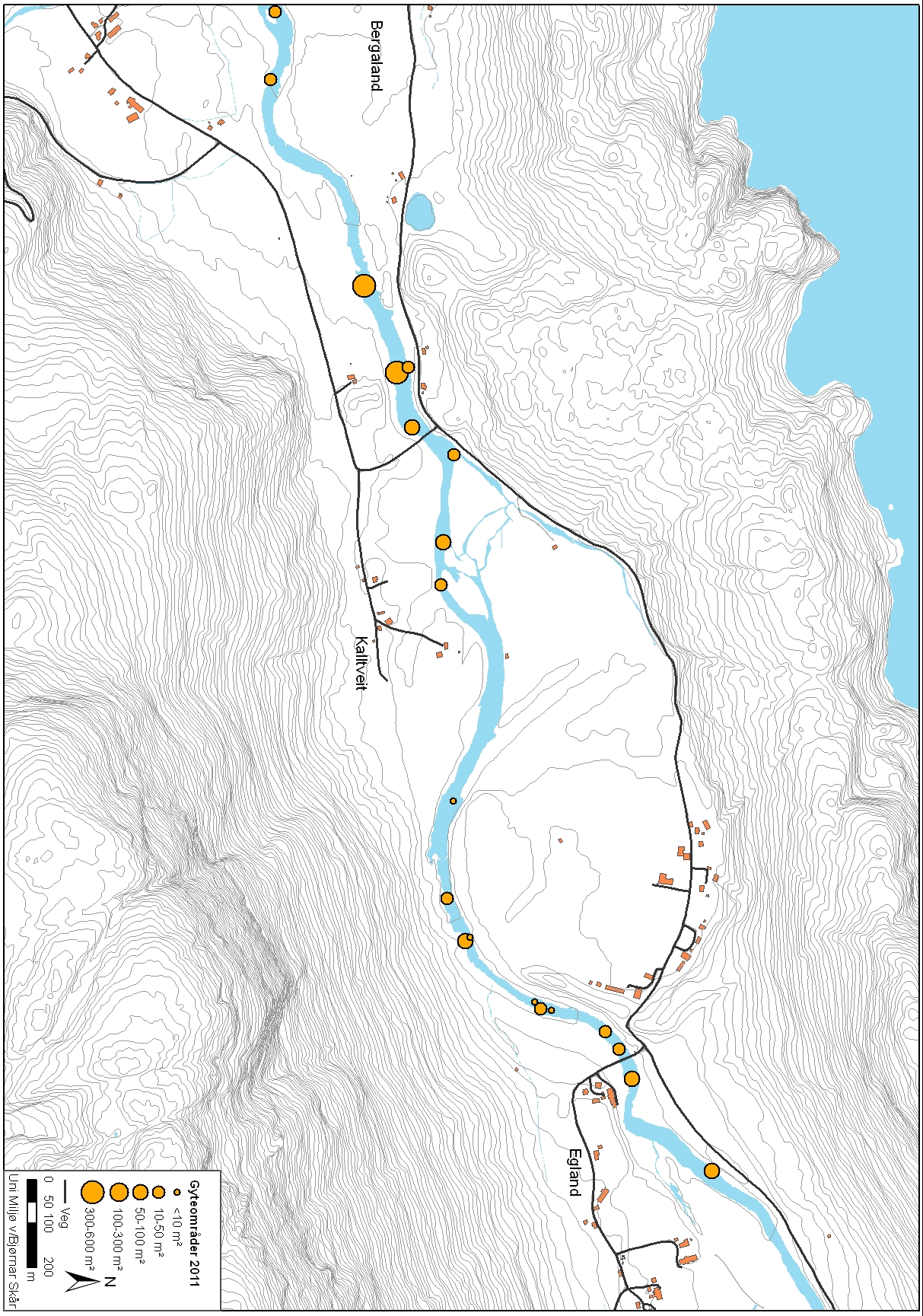 Figur 28: Gyteområder i Årdalselva,