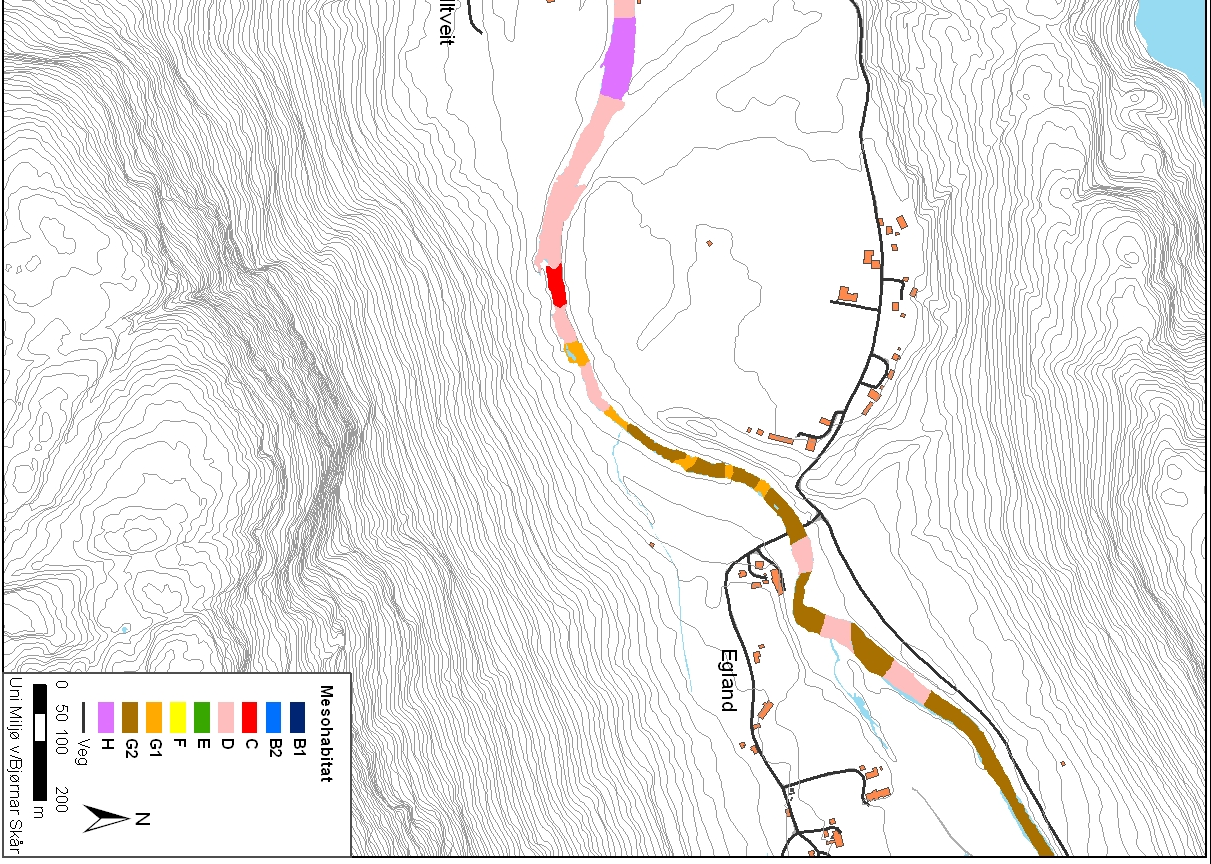 Figur 32: Mesohabitat i Årdalselva,