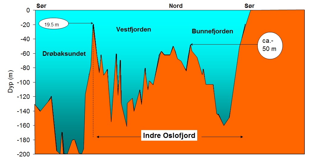 B. Oppnå god økologisk status i dypvannet i alle fjordens bassenger Oksygen som parameter for dypvannets tilstand Fjorden tåler tilført 6500 tonn oksygenforbrukende stoffer/år.