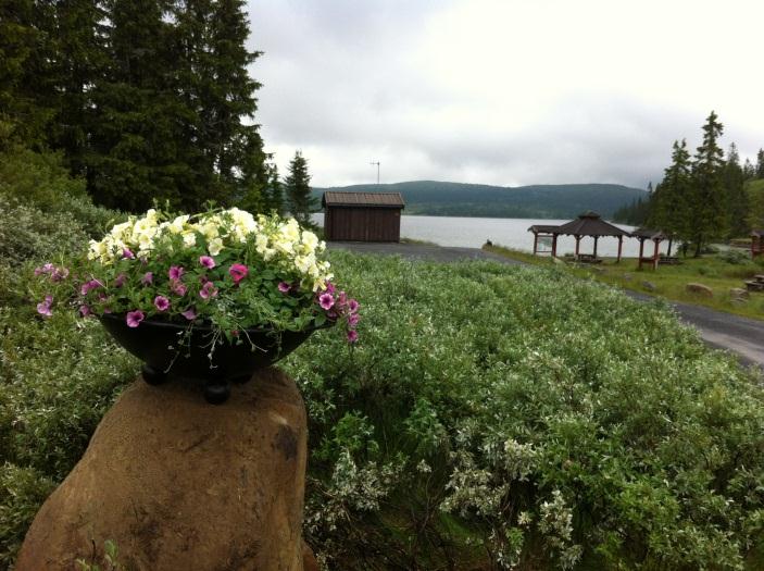 Til venstre: Vinneren, Andrew Musgrave fra Skottland, sammen med Åge Skinstad. Øverst: målgangen på Storåsen. FORSKJØNNING OG RYDDING Blomsterurnene står fortsatt like fint.