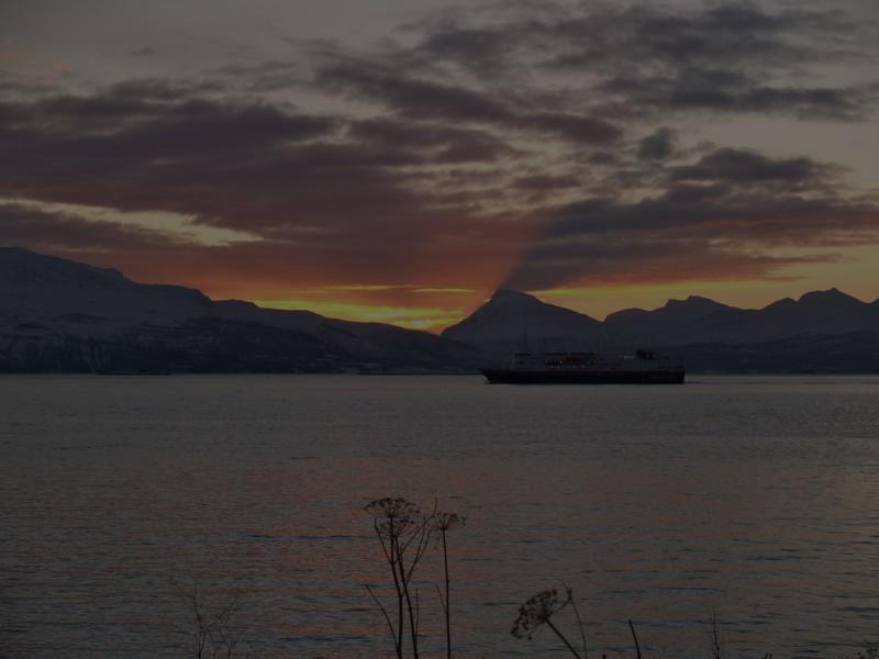 Tromsø - Svolvær Kunst i Harstad; Trondenes historiske senter (valgfri utflukt) Konsert i en gammel fiskolje tank i Vesterålen (inkludert) Bli med på en stemningsfull konsert med