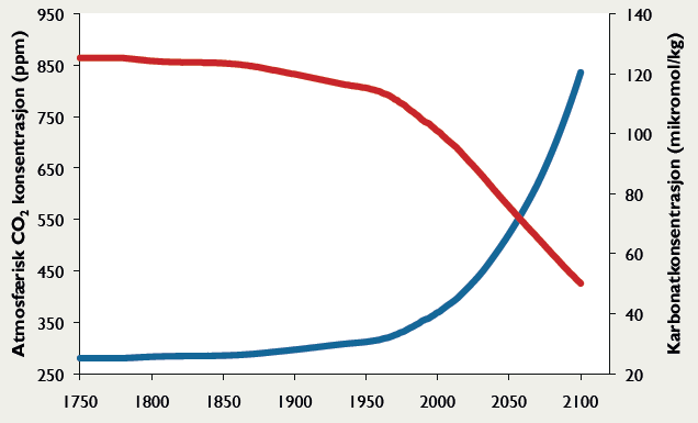 En framtid du ikke vil ha Figur 25 viser hvordan konsentrasjonen av kalsiumkarbonat i havet (rød strek) vil utvikle seg i takt med stigende mengde CO 2 i atmosfæren (blå strek).