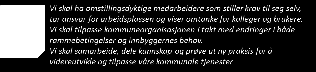 Utvikling og endring Kommuneorganisasjon må gjennom dens ledere og medarbeidere tilpasse seg gjeldende rammebetingelser enten det går på økonomisk, teknologiske eller rettighetsmessige forhold med