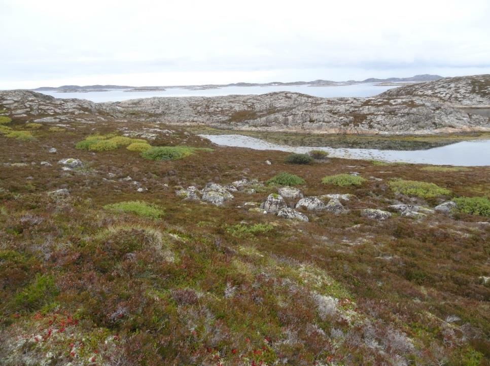 Figur 1. Utbredelse av kystlynghei i Midt-Norge (svart) (Nilsen og Moen 2009b). Figur 2.