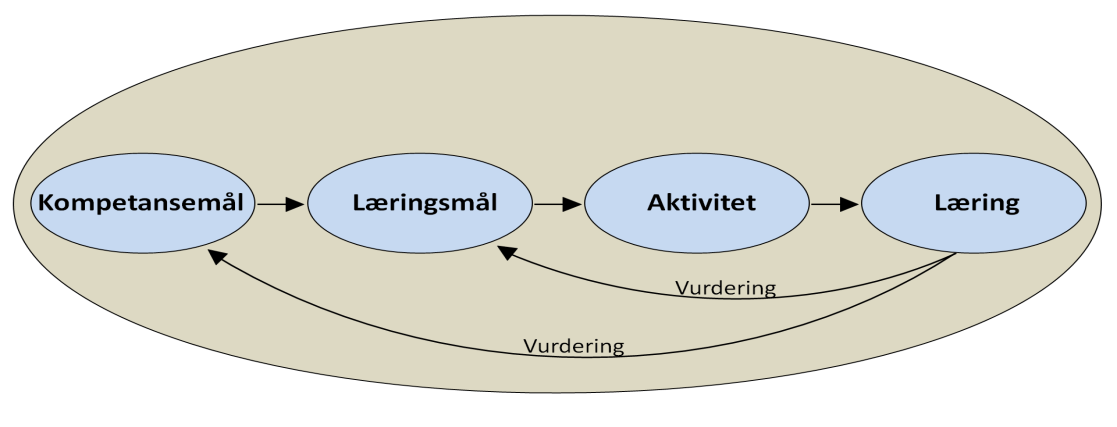 Fra læreplan til læring