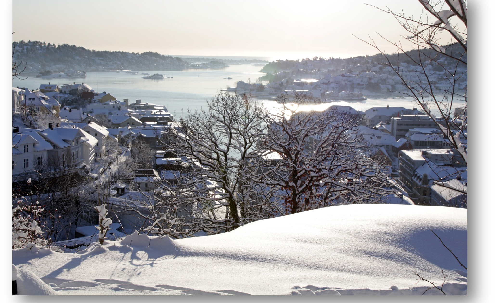 ELDRERÅDETS ÅRSMELDING 2010 Alder er som å bestige et fjell.