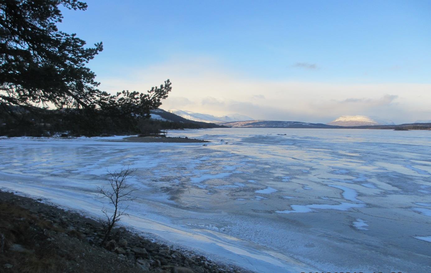 5 Grønnstruktur-friluftsliv Feltet har rik tilgang på friluftsmuligheter sommer og vinter.