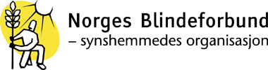 Orienteringstavler m/taktilt kart Fikk Blindeforbundets tilgjengelighetspris gla-melding fra Norges Blindeforbund, Buskerud Den nye busstasjonen på Strømsø er tilrettelagt for blinde og svaksynte