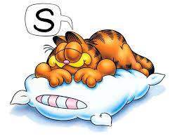 Mange faktorer kan forstyrre søvn Faktorer i omgivelsene - Støy - Lys -