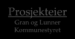 Prosjektorganisering Fase 1 Prosjekteier Gran og Lunner Kommunestyret 30.10.14, 19.02., 19.03., 07.05. og 18.06.